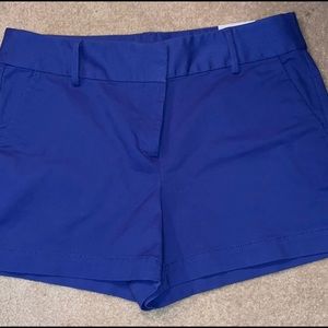 New LOft shorts, “Riveria” size 10 Royal Blue